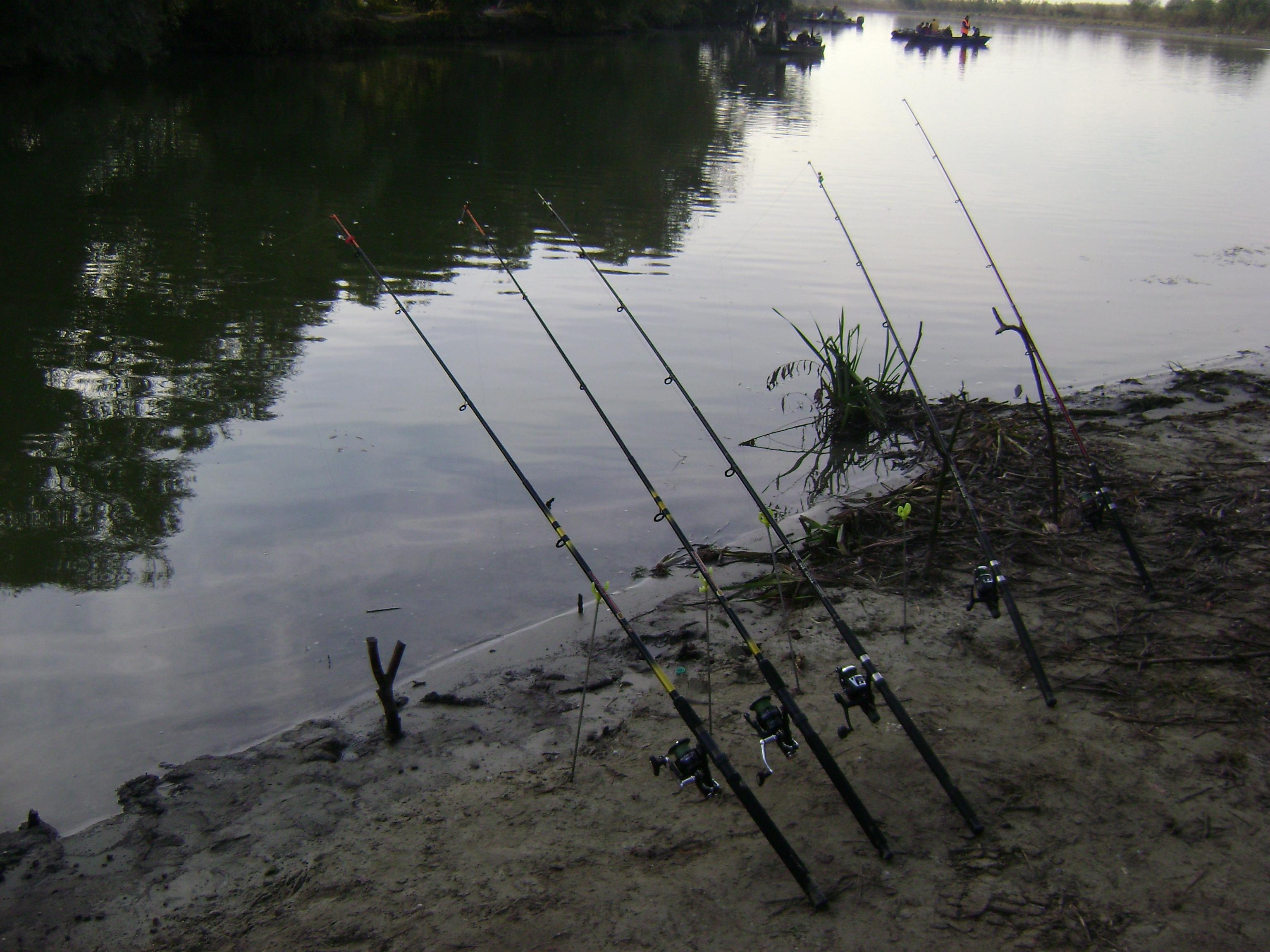 delta octombrie 2012 - delta octombrie 2012 041.JPG